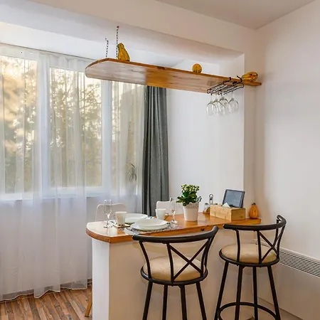 Jad Family & Calea Bucuresti 公寓 布拉索夫