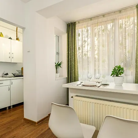 アパート Jad Apartments - Spitalul Judetean Brasov ブラショフ