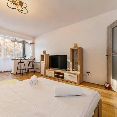 アパート Jad Apartments - Spitalul Judetean Brasov ブラショフ