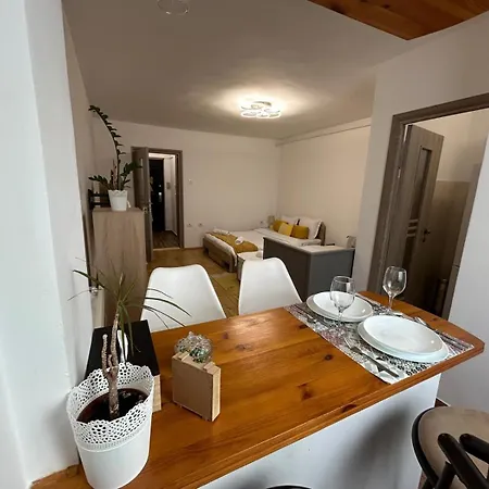 アパート Jad Apartments - Spitalul Judetean Brasov ブラショフ